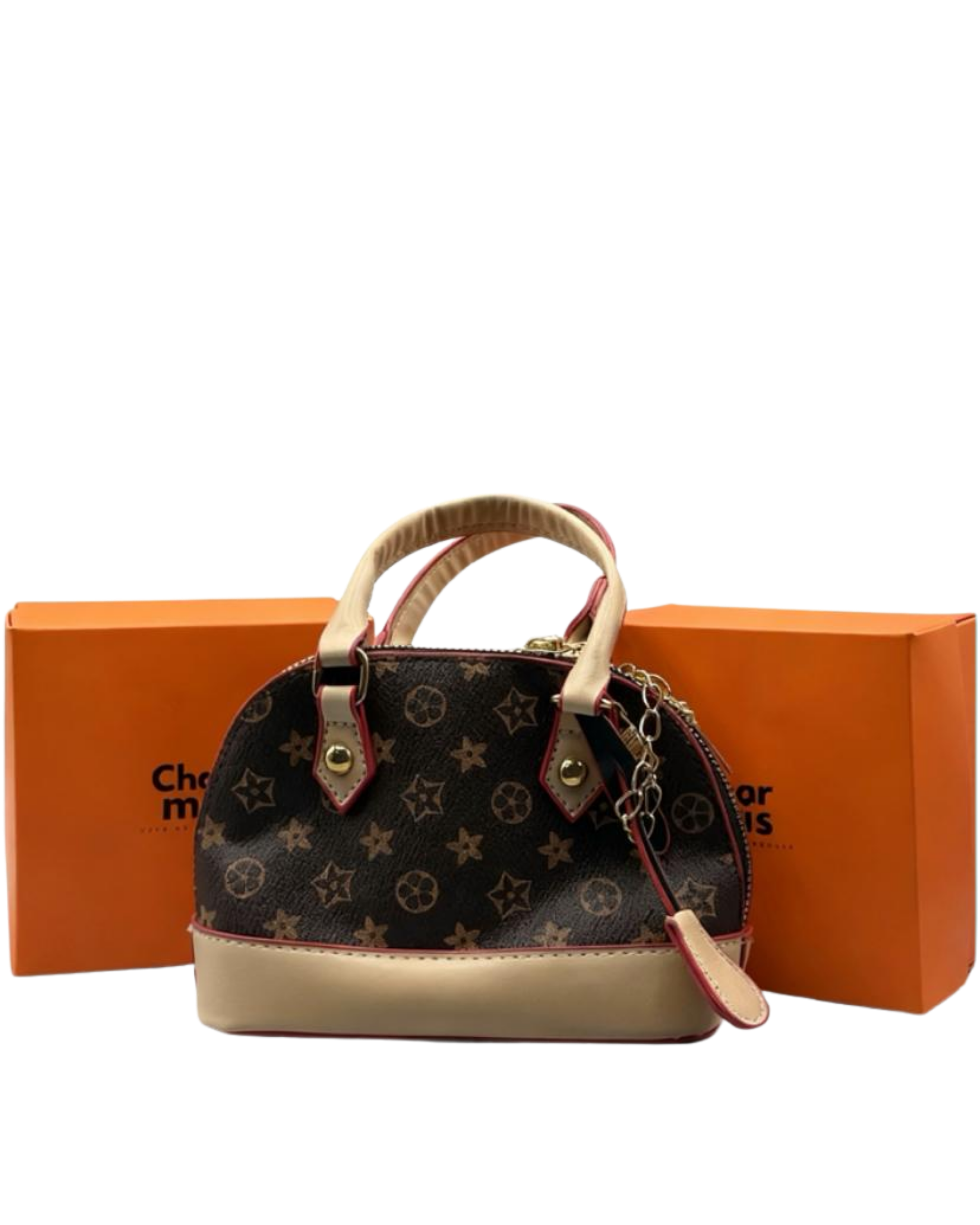 LV Mini Bag
